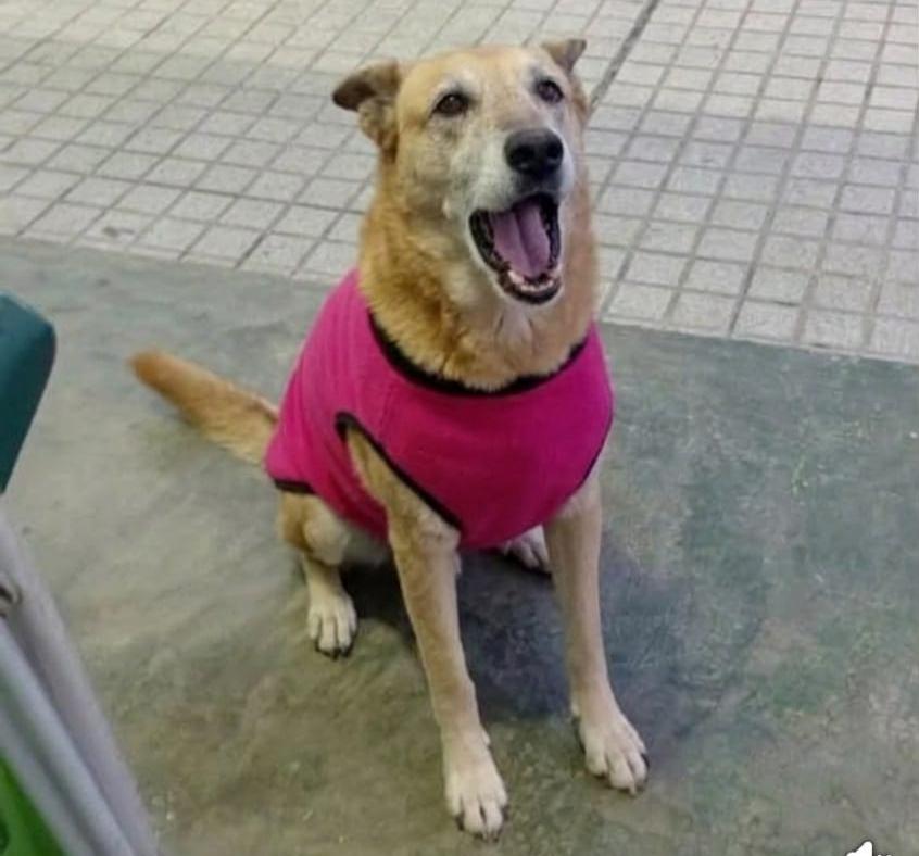 ...